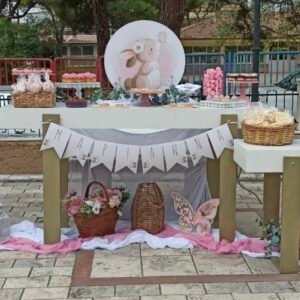 Στολισμός Βάπτισης με Θέμα Λαγουδάκι